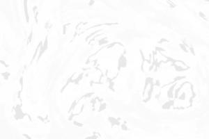 Background texture. Gray white and black color abstract background. photo