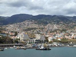 funchal and the island madeira photo