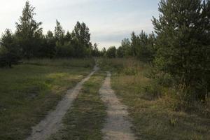 camino de arena en el campo foto