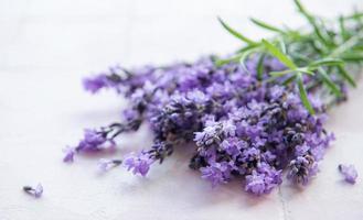 ramo de flores frescas de lavanda foto