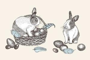 Bunnies and Easter eggs basket. Birds Feathers. Engraved vintage style. Greeting card. Line art ester rabbit Decoration design. Happy holiday folkstyle banner. Hippity Hoppity Hop Vector. vector