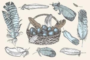 Set of Easter eggs and realistic bird feathers. Vintage engraving style. Engraved folk style. Greeting card. Line art ester decoration design. Happy holiday banner. Hippity Hoppity Hop Vector.