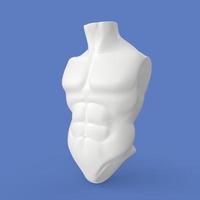 3D Rendering Of Human Torso photo