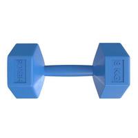 Dumbbell isolated on white background photo