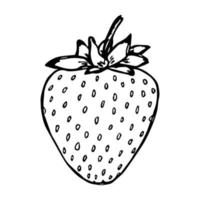 imágenes prediseñadas de fresa vectorial. icono de baya dibujado a mano. ilustración de frutas para impresión, web, diseño, decoración vector