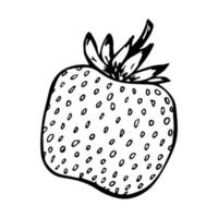 Vector strawberry clipart. Hand drawn berry icon. Fruit illustration. For print, web, design, decor