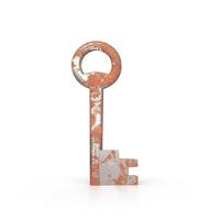 Old key isolated on white background photo