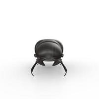 bug isolated on white background photo