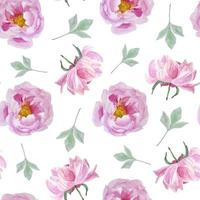 Watercolor seamless pattern with pink peonies and leafs on the white background vector