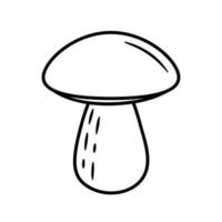 Mushroom. Hand drawn sketch forest element. Isolated vector illustration in doodle line style.