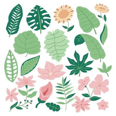 Vintage Set of Green Tropic Flower, Foliage Collection with colorful floral Botanical bundle Elements. Nature of plants garden. Hand drawn Flat Style, suitable for wedding invitation or banner