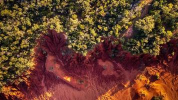Aerial shot of trees and red sand photo