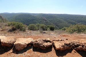 Stones in a city park in Israel photo