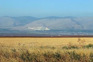 Landscape in the mountains in northern Israel photo