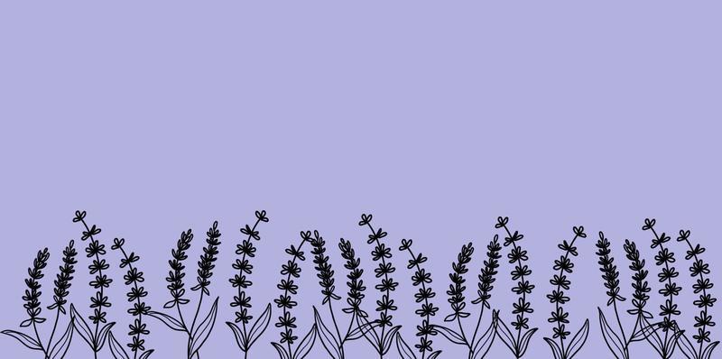 Beautiful background with hand drawn lavender