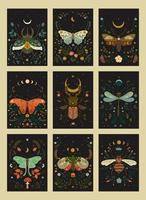 Set of postcards in boho style with insects. Vector graphics