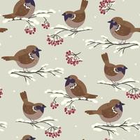 Seamless pattern of cute winter sparrows sitting on rowan branches. Vector graphics
