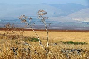 Landscape in the mountains in northern Israel photo