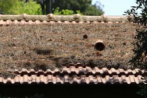 Red tiled roof on a residential building in Israel photo