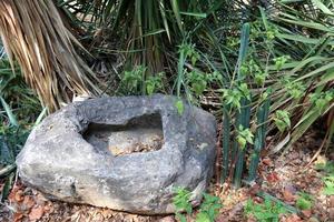 Stones in a city park in Israel photo