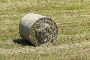 Straw on a collective farm field for livestock feed photo