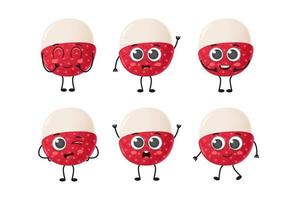 Set of cute cartoon lychee fruit vector character set isolated on white background