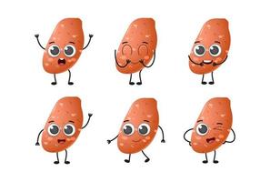 Set of cute cartoon sweet potato vegetables vector character set isolated on white background