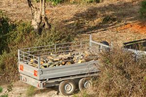 Firewood prepared for the winter photo