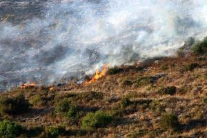A UN helicopter puts out a fire in a forest on the Israel-Lebanon border. photo