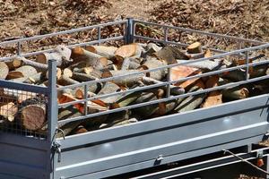 Firewood prepared for the winter photo