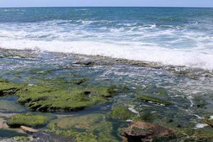 Mediterranean coast in northern Israel photo