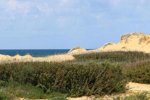 Mediterranean coast in northern Israel photo