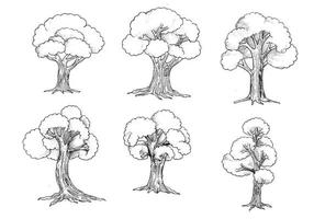 Hand draw trees set sketch illustration design vector