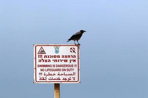 Road signs and signs in Israel photo