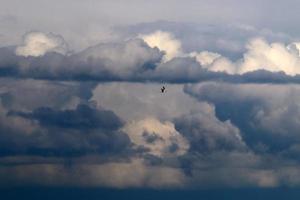 birds fly over the mediterranean sea photo