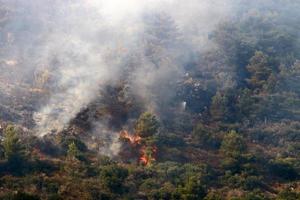 A UN helicopter puts out a fire in a forest on the Israel-Lebanon border. photo