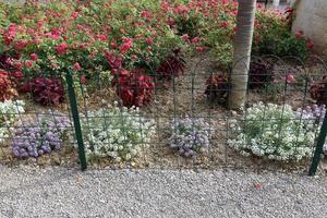 Fence in the city park photo