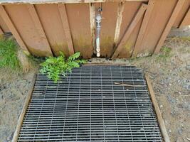 faucet and metal drain or grate with weeds or plants photo