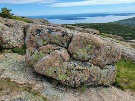 a variety of lichen on large pink granite rock outdoor on mountain photo