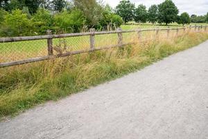 path in the countryside photo