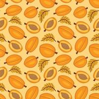 Apricot seamless pattern. fruit and sliced pieces. Summer tropical endless background. vector