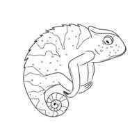 Chameleon in a linear style. Black and white vector illustration of a reptile. Reptile in hand-drawn style.