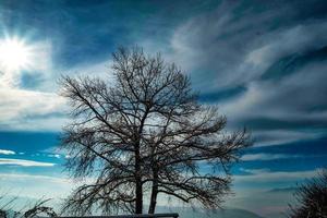 landscapes of the Piedmontese Langhe under the white snow, in the winter of 2022 photo