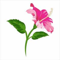 Red hibiscus large flower isolated on white background Vector illustration