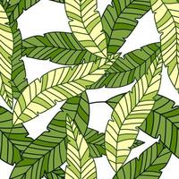 Simple tropical palm leaves seamless pattern. Linear exotic botanical texture. vector