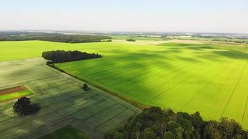 luchtvlieg over schilderachtige agrarische landbouwvelden op het platteland van litouwen. video