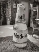 Playa del Carmen Quintana Roo Mexico 2022 Modelo beer bottle in restaurant PapaCharly Playa del Carmen Mexico. photo
