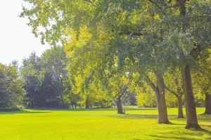 Natural panorama view sunny day green plants trees forest Germany. photo