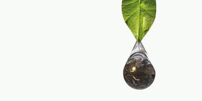 Leaf flower flora blossom green color earth planet world global water drop decoration health care environment save medical natural ecology happy holiday together business campaign.3d render photo