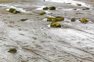 Wadden sea tidelands coast beach water landscape Harrier Sand Germany. photo